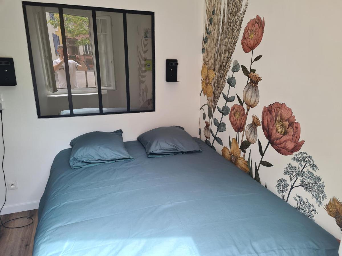 Appartement Cosy Avec Jardin Au Centre Historique De Selestat & Proche Europa-Park Zewnętrze zdjęcie